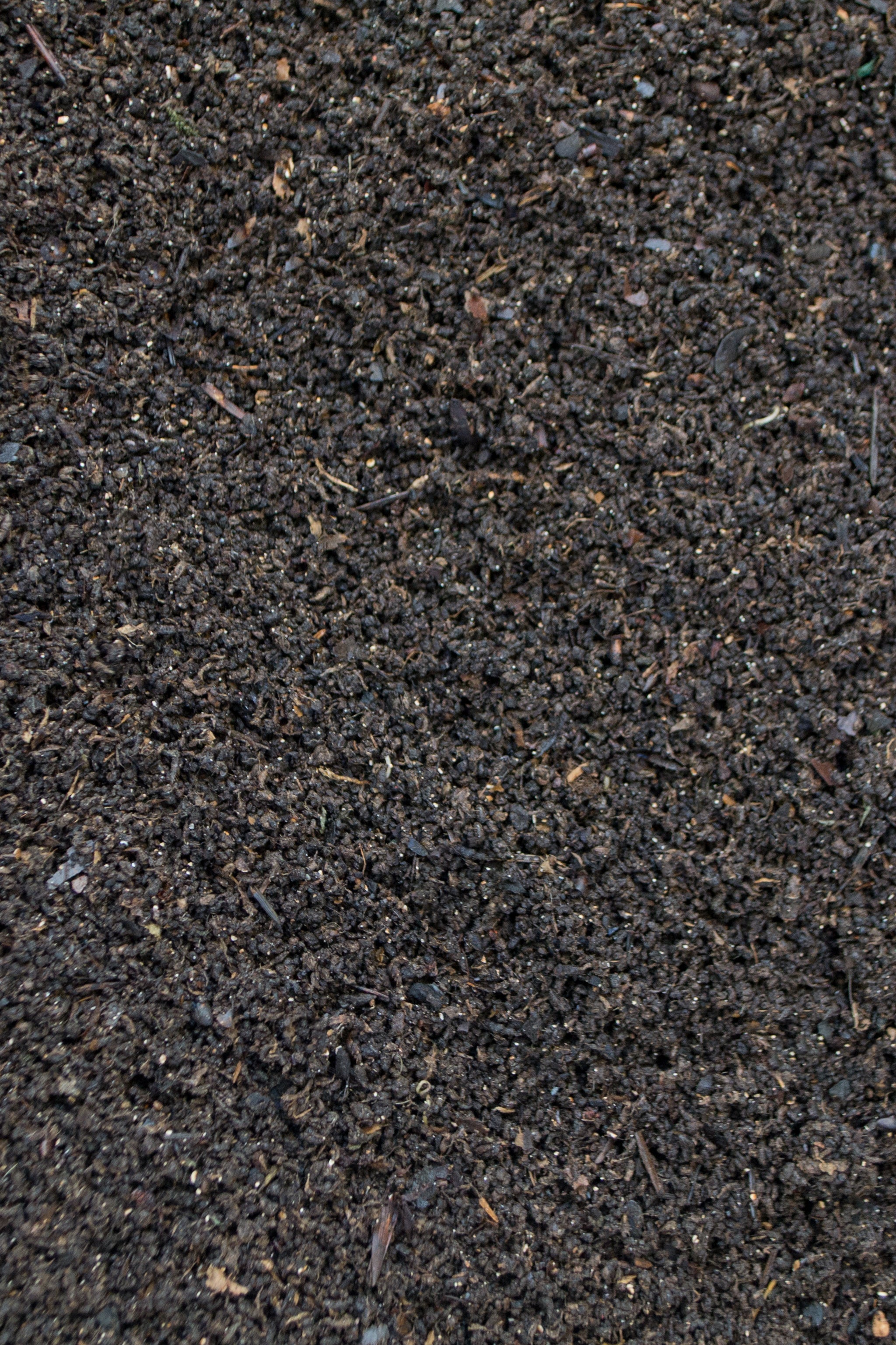 Premium Worm Castings