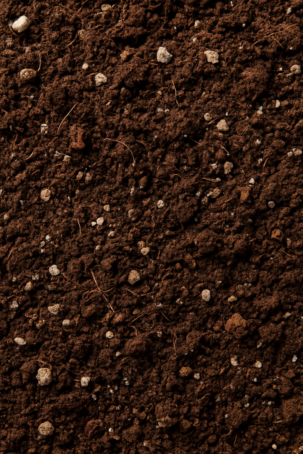 Small Batch Living Soil - Coming Soon!